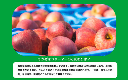 りんご 葉とらず サンふじ 訳あり 10kg かざまファーマー 沖縄県への配送不可 2023年11月中旬頃から2024年3月中旬頃まで順次発送予定 令和5年度収穫分 傷 不揃い リンゴ 林檎 果物 フルーツ 信州 長野 15000円 予約 農家直送 長野県 飯綱町 [0258]