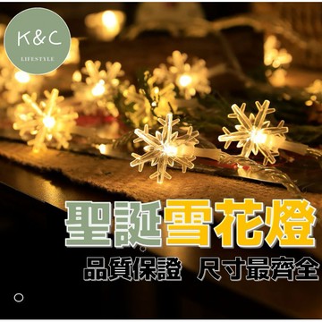【台灣現貨✨天天出貨】 雪花燈串 聖誕燈串 LED燈串 質感造型燈串 氣氛燈串 房間裝飾 窗簾燈 聖誕樹 裝飾燈 小夜燈
