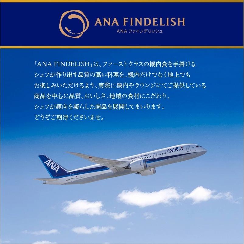 ANA カレー ANA FINDELISH ビーフカレー 中辛 レトルトカレー セット 高級 レトルト  食品 ご当地 詰め合わせ 飛行機