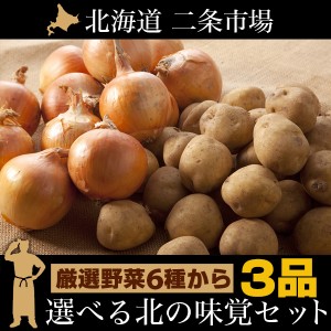 今季出荷開始中！ 送料無料 北海道産 市場の目利きが選んだ「北の厳選野菜」選べる3品セット   新じゃがいも 新じゃが 男爵 キタアカリ