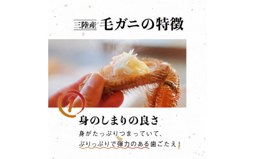 生きたまま発送 三陸産！活 毛ガニセット (300g×2尾)　三陸直送 濃厚 かに 蟹 カニ 毛ガニ 毛蟹 毛がに