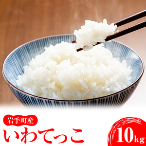 令和5年産 岩手町産いわてっこ 10kg（5kg×2袋） ※着日指定不可 ※離島への配送不可 ※2023年11月上旬頃より順次発送予定