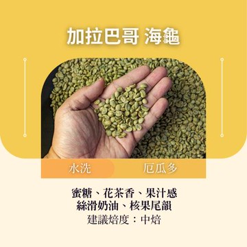 CAFEPRO厄瓜多 加拉巴哥/海龜  500公克 (水洗) (咖啡生豆)(二次篩選)