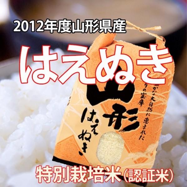 2019年新米 31年 令和 新米 はえぬき 白米 米5kg 山形 特別栽培米 アスク 送料無料 山形県 新米予約 令和新米 令和元年新米  5キロ 予約