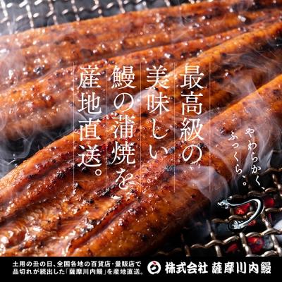 ふるさと納税 薩摩川内市 国産うなぎ蒲焼(きざみ)合計160g(80g×2袋) ZS-603