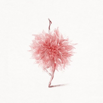 藝術掛畫｜Manting｜花鶴 - 60x60cm-單買相紙