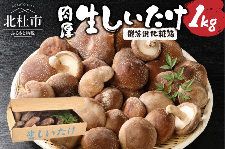 贈答用 生しいたけ(1kg)