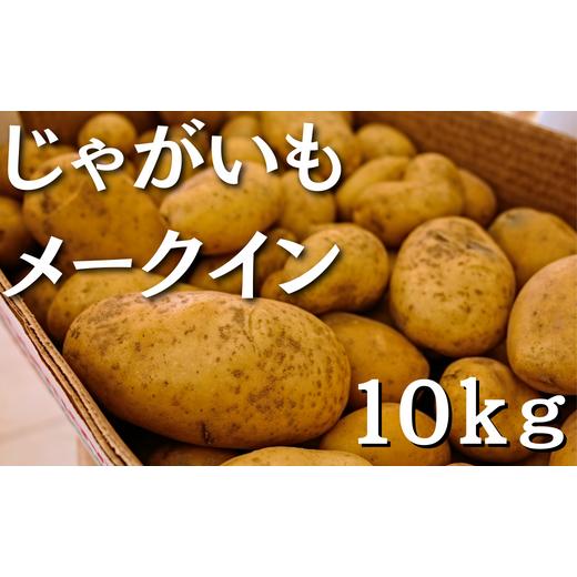 ふるさと納税 茨城県 鉾田市 じゃがいも10kg