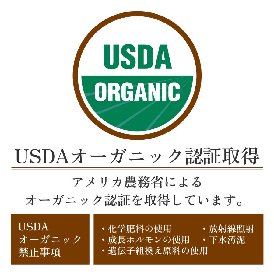 有機 マンゴー オーガニック ドライマンゴー 200g 100g x2 美容 健康 砂糖不使用 無添加 スリランカ ドライフルーツ 有機JAS認証 保存食