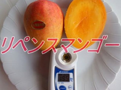 鹿児島 与論島リペンスマンゴー特A秀品約２キロ４～６玉化粧箱入り