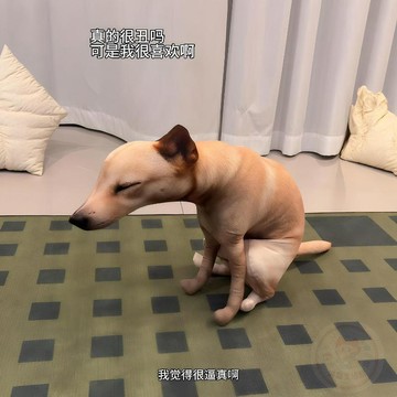 🔥即日特價🔥拉屎小狗  玩偶  搞怪抽象嗯嗯狗子毛絨  公仔  整蠱仿真拉粑粑小狗狗抱枕