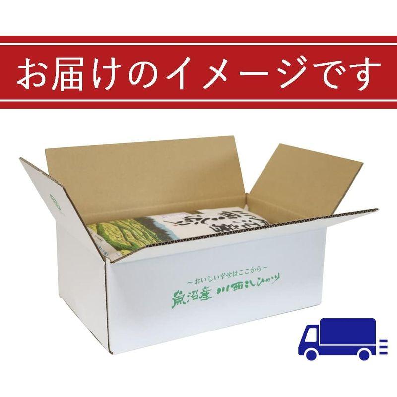 新米入荷しました 令和５年度米 新潟県認証特別栽培米 魚沼産川西コシヒカリ 5kg×2