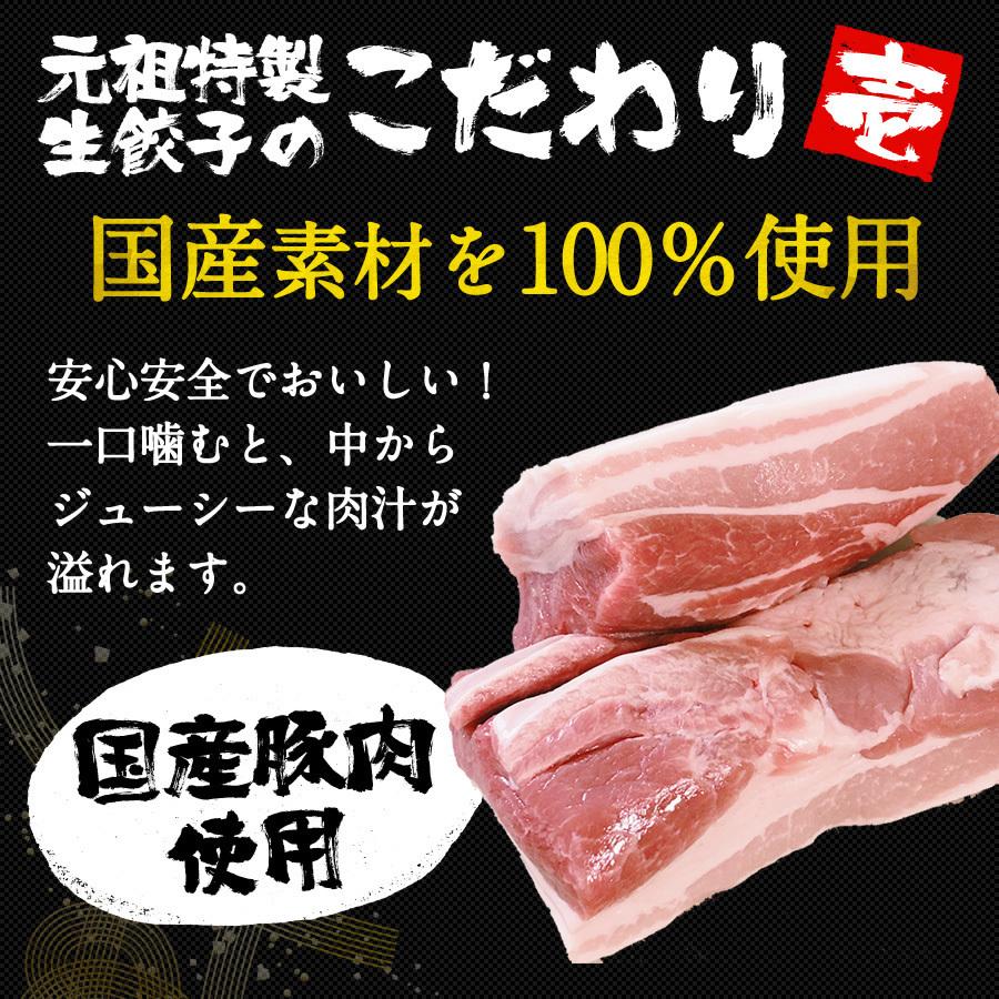 餃子 取り寄せ 送料無料 業務用 冷凍 生餃子 国産素材 時短 お手軽 簡単 大容量 餃子計画 業務用の特製生餃子 200個袋入