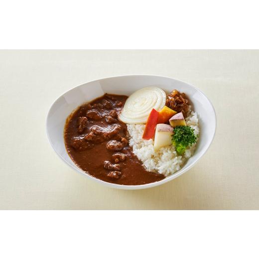 ふるさと納税 兵庫県 淡路市 淡路玉ねぎ牛すじカレー5袋セット