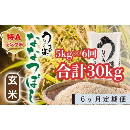 ふるさと納税 うりゅう米「ななつぼし（玄米）」5kg 定期便！毎月1回