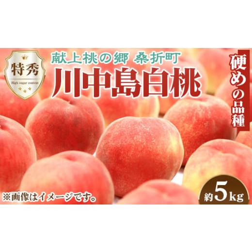 ふるさと納税 福島県 桑折町 No.100 もも（川中島白桃）特秀　約5kg ／ 桃 モモ 果物 福島県 特産品