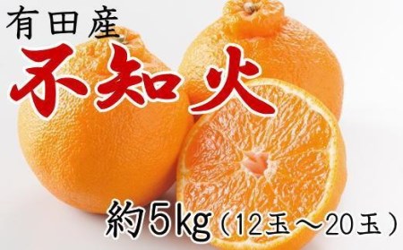 有田の不知火約5kg（12～20玉）★2024年２月上旬頃より順次発送