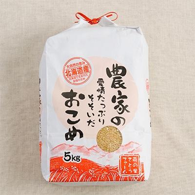 ふるさと納税 留萌市 玄米　5kg　ななつぼし