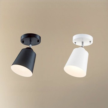 單吸頂燈 B261-64-74385 74386