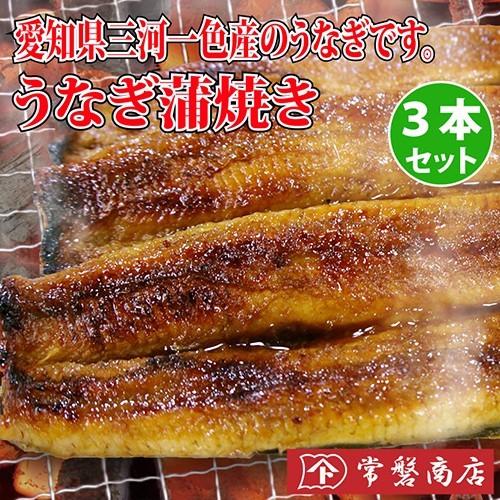 うなぎ蒲焼き 3本セット　鰻