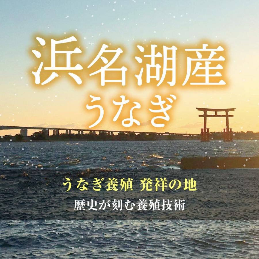 うなぎ 蒲焼 140g×3尾入り 3〜4人分 浜名湖産 送料無料 国産 ギフト お祝い 内祝 浜名湖 土用の丑の日 お取り寄せ グルメ プレゼント 鰻 ウナギ かば焼  贈答