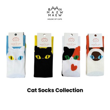 貓咪襪子系列 Cat Socks Collection