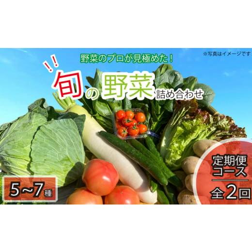 ふるさと納税 徳島県 阿波市 野菜 お楽しみ 5~7品目 年2回 定期便 詰め合わせ セット