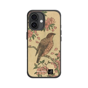 iPhone 16 SolidX 黑 - Van Gogh Museum - 櫻花樹上的伯勞鳥