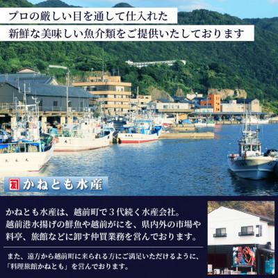 ふるさと納税 越前町 ≪浜茹で≫越前がに 小サイズ × 3杯