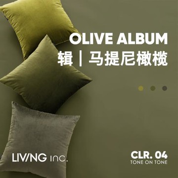 LIVING inc.橄欖天鵝絨 墨綠色抱枕沙發客廳輕奢復古靠枕床頭靠墊