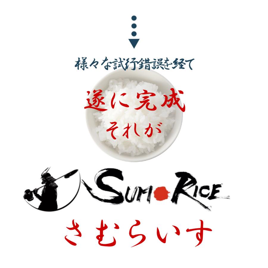 お米　１０kg　さむらいす　送料無料　国内産　精米　白米　生活応援米　農家直送