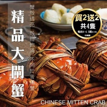 【買2送2 】海肉管家-江南精品大閘蟹共4隻(每隻約3.2-4.5兩±10%含繩重)