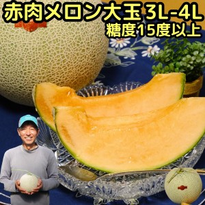 メロン お歳暮 ギフト 赤肉メロン 匠 大玉 1玉 3L～4L 約1.8～2kg 糖度15度以上 芳醇な香りと甘みが美味しい 熊本 産地直送ニシムラ厳選