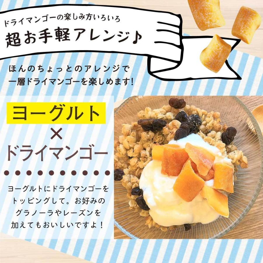 友口 魅惑のドライマンゴー 450g トロピカルフルーツ ドライフルーツ 送料無料 チャック 工場直販 モグーグ