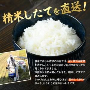 ふるさと納税 ＜新米・令和5年産＞＜定期便・6回 (連続)＞大分ひのひかり (総量30kg・5kg×6ヶ月) 米 定期便 6ヶ月 ひのひかり ヒノヒカリ .. 大分県佐伯市