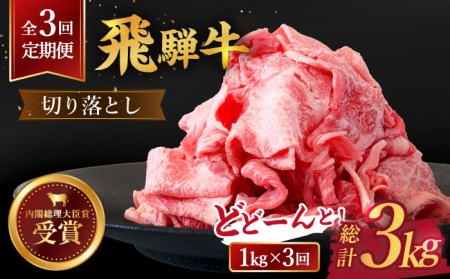 ＼贅沢な味わいをご家庭で／ 切り落とし 総計3kg 〈1回あたり〉1kg (250g×4) 国産 ブランド牛 和牛 BBQ キャンプ  [TDC014]