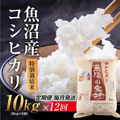 ふるさと納税 十日町市 新潟県 魚沼産 コシヒカリ 特別栽培米 魚沼の宝物 精米 10kg全12回