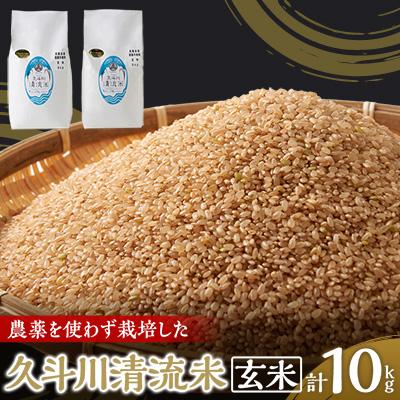 ふるさと納税 新温泉町 農薬を使わず栽培した「久斗川清流米」10kg(5kg×2)〜玄米〜