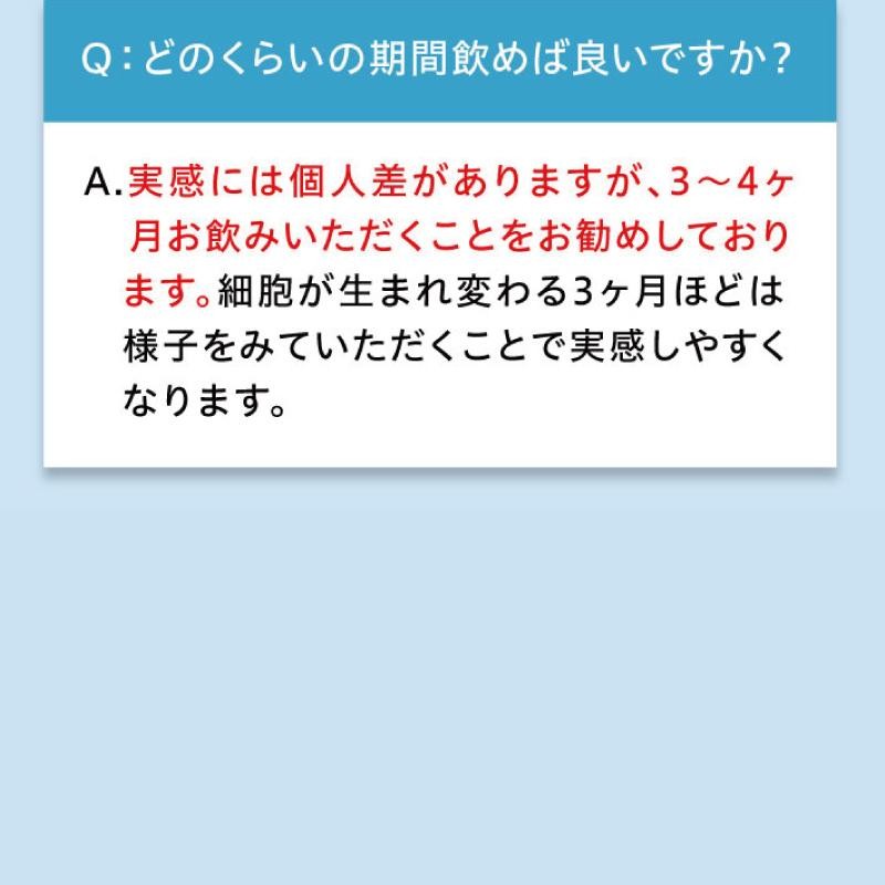 ルテイン サプリメント アイケア 目 ドライ めなり極 ブルーベリー