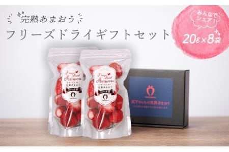 形も味もそのまま楽しめる！完熟あまおう (20g×8袋)