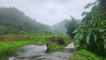 專約/美濃田園悠活慢生活農地2｜高雄市美濃區龍廣段