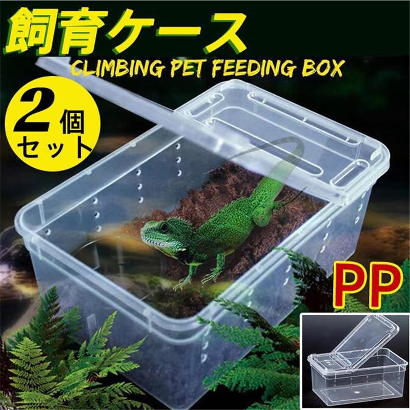 爬虫類飼育ケース (２個セット) - 爬虫類/両生類用品