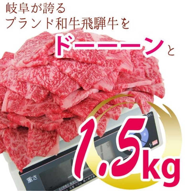 飛騨牛 カルビ 1.5㎏ メガ盛り 肉 バーベキュー 焼肉 焼き肉 黒毛和牛