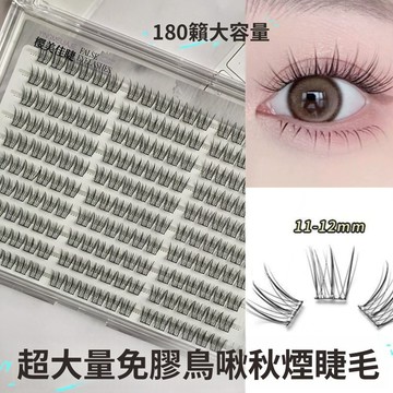 超大量粘膠鳥系假睫毛 放大雙眼 根根分明 清透自然仿真假睫毛 分段式單簇假睫毛 鳥啾啾假睫毛 上眼減齡纖長捲翹假睫毛