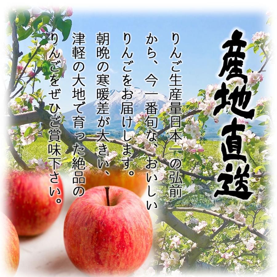 2023年産 青森県産りんご ご家庭用 訳あり サンふじ10kg （約32玉〜50玉入り）産地直送