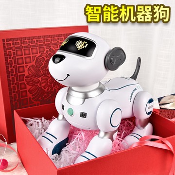 虎年新年生日禮物兒童女孩子67男孩小學生10十歲實用的89男童跨年