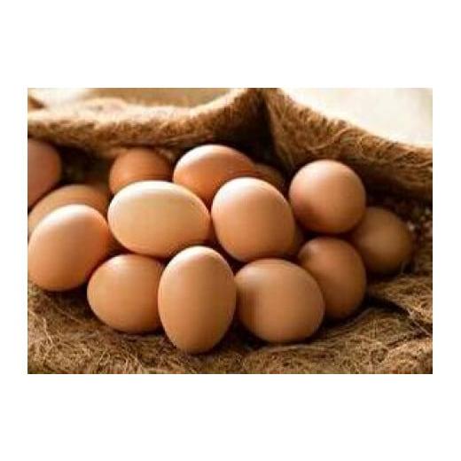 ふるさと納税 北海道 当別町 [1.12-39]　究極の卵、オーガニックエッグを含む3種食べ比べセット