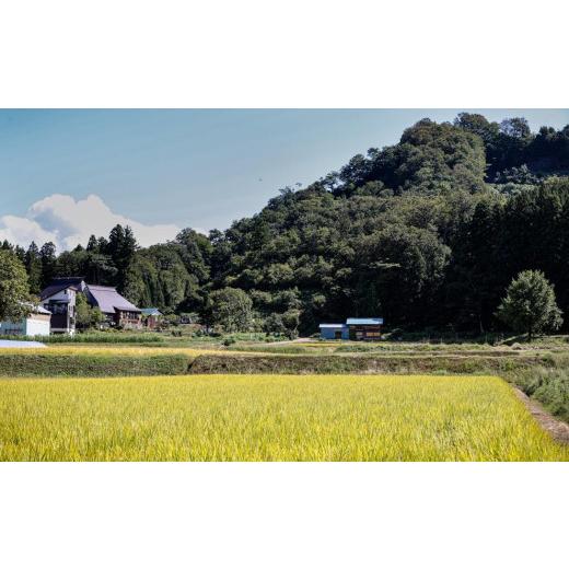 ふるさと納税 新潟県 津南町 定期便5kg×6回 県認証 魚沼産新之助