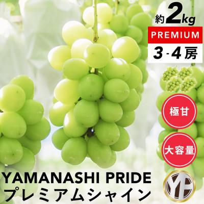 ふるさと納税 山梨市 山梨産厳選シャインマスカット 3〜4房 (約2kg) YAMANASHI PRIDE