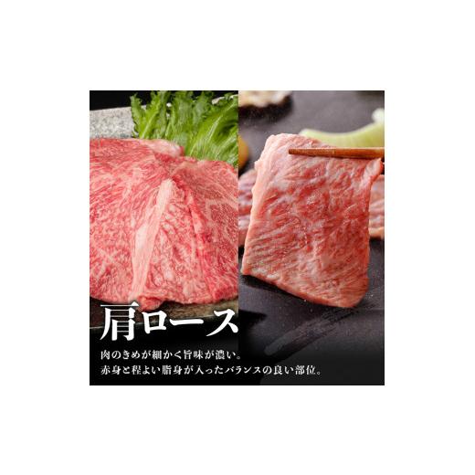 ふるさと納税 宮崎県 川南町 ※令和6年3月発送※宮崎牛焼肉6種 600g